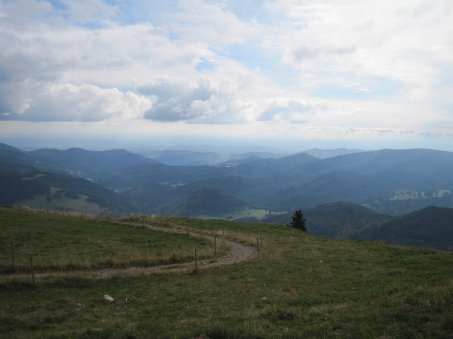 Schönau - Belchen (Berglauf)