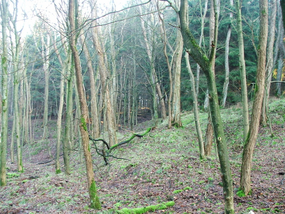 Ruhrgebiet: Hohe Mark (3)