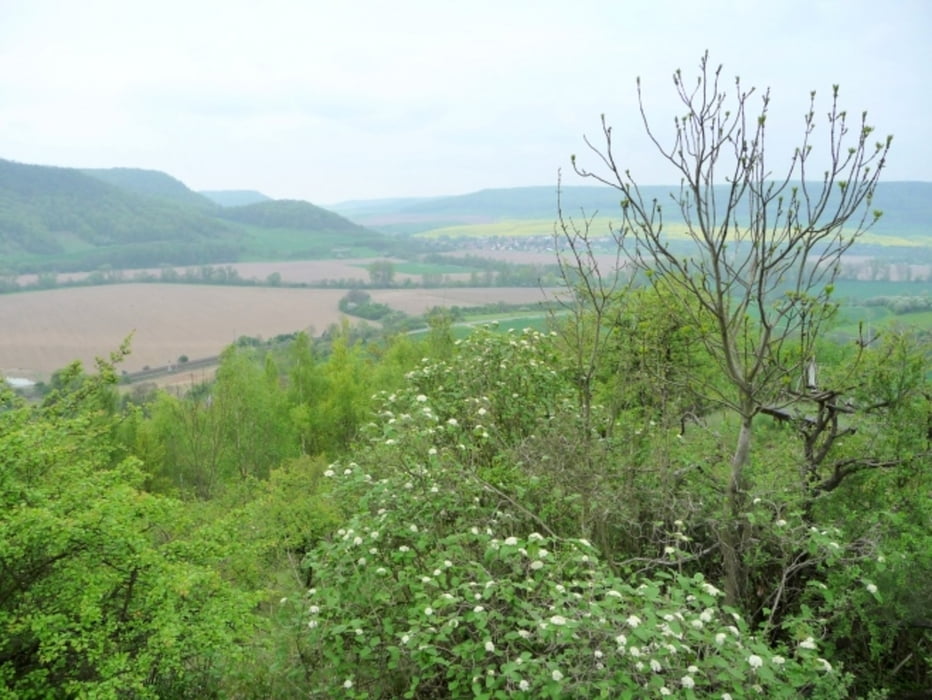 Wandern um Jena, Nördliche Umgebung, Rund um den Erdengraben