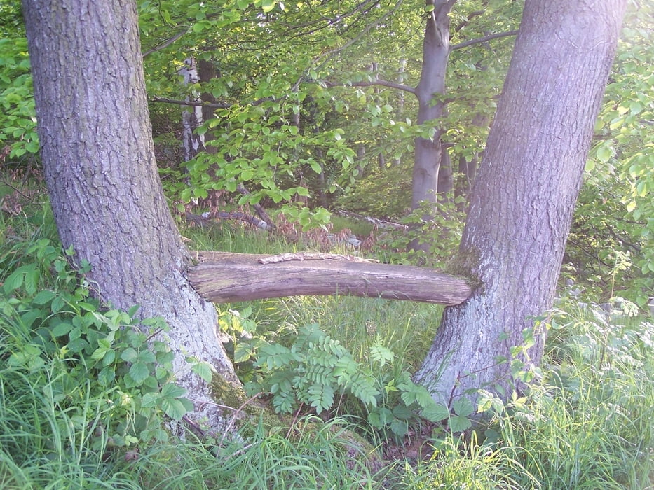 Strecklenberg Saalsteine und zurück