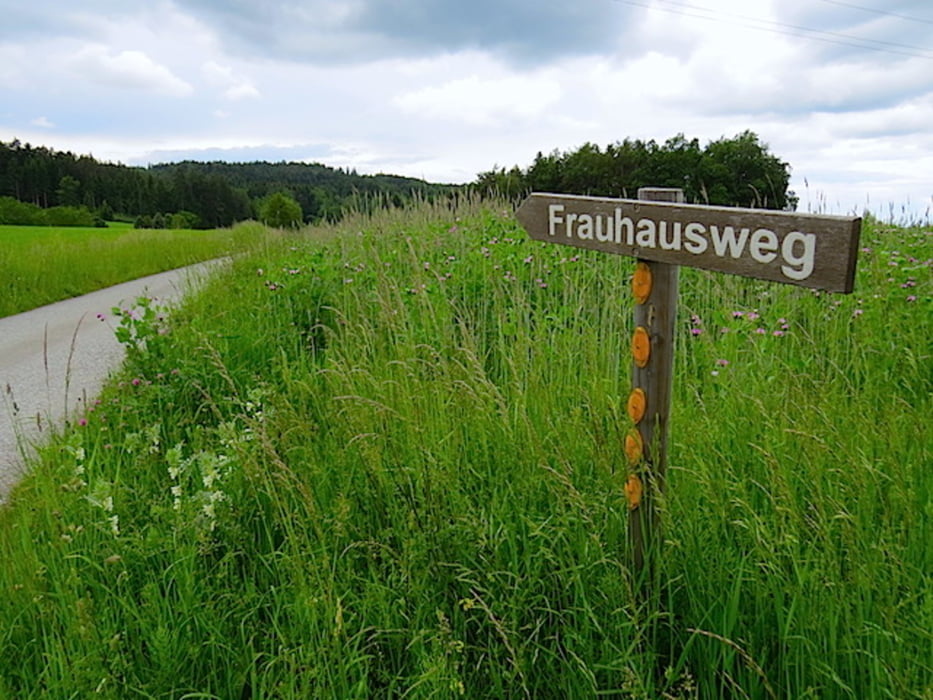 ZWalk - Großschönau - Frauhausweg