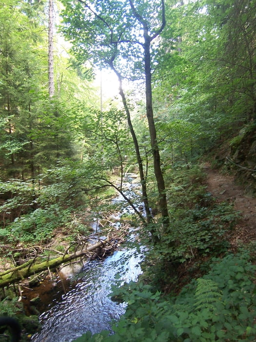 Rundweg Ilsetal
