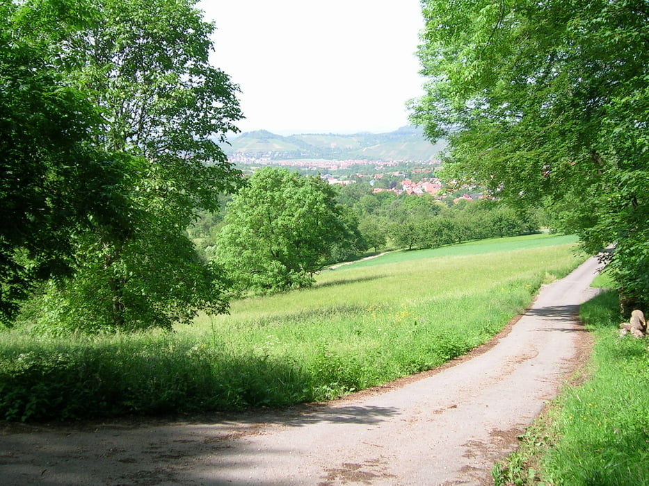 Metzingen - Gestüt St. Johann - Bad Urach - Metzingen