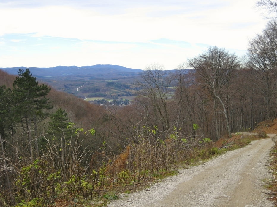 Siegenfeld Runde Var.2