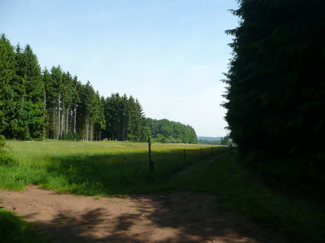 Schweich, Mosel. Meulenwald