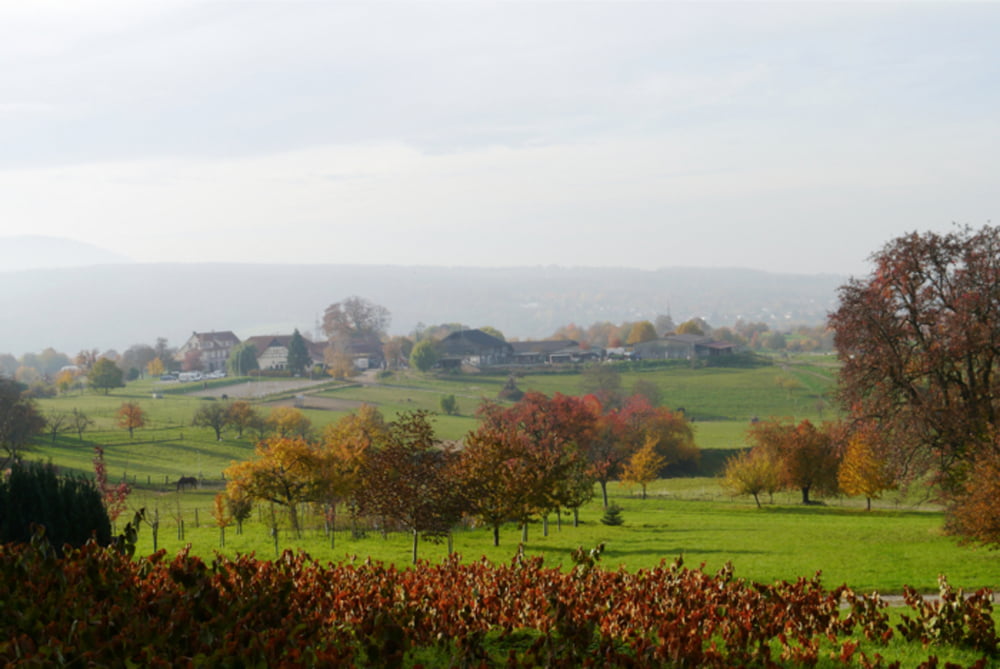 Weisenbach - Saumweg - Ettlingen