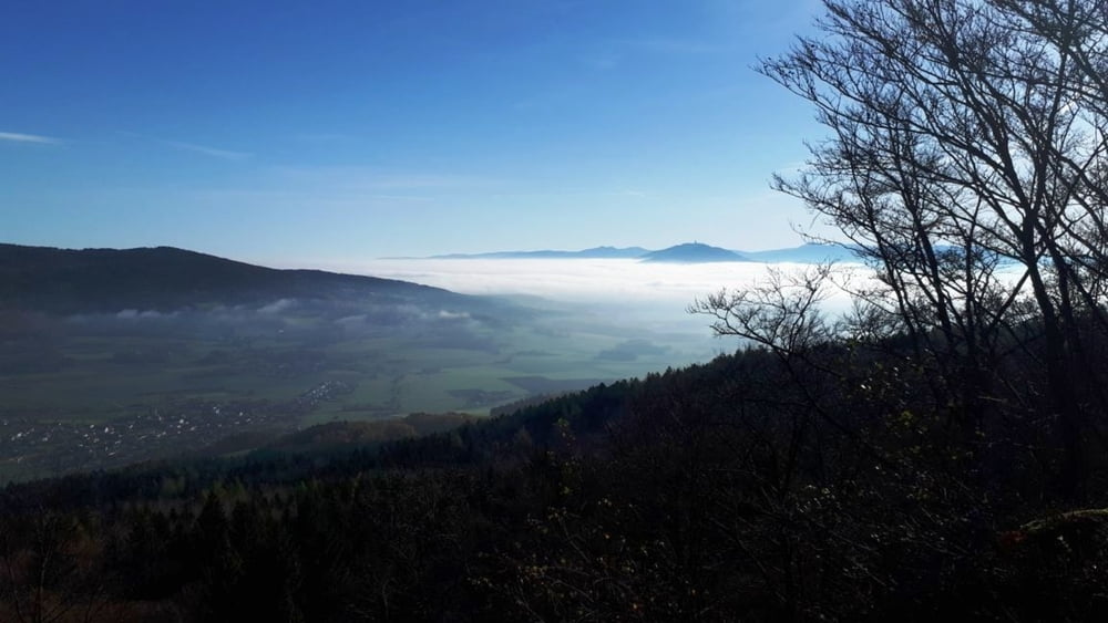 Willmering-Buchberg-Arberblick-Grafenkirchen