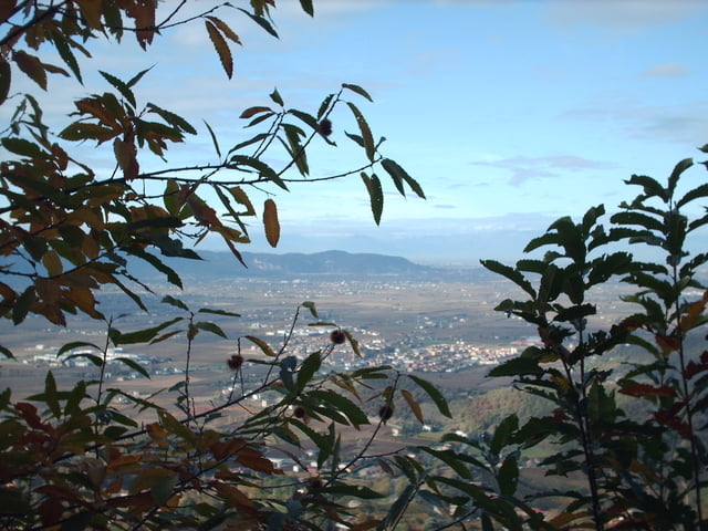 Monte Grande e Luvigliano