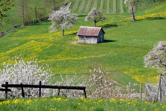 Gitzensteig im Bodensee-Hinterland