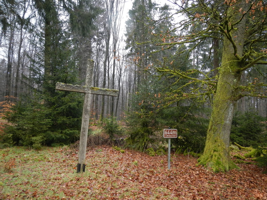 Tour des Grauens (Rinzenberg)