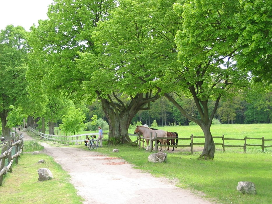 Prenzlau Boitzenburg durch die Natur
