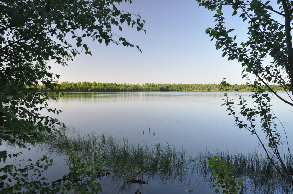 Boisdorfer See
