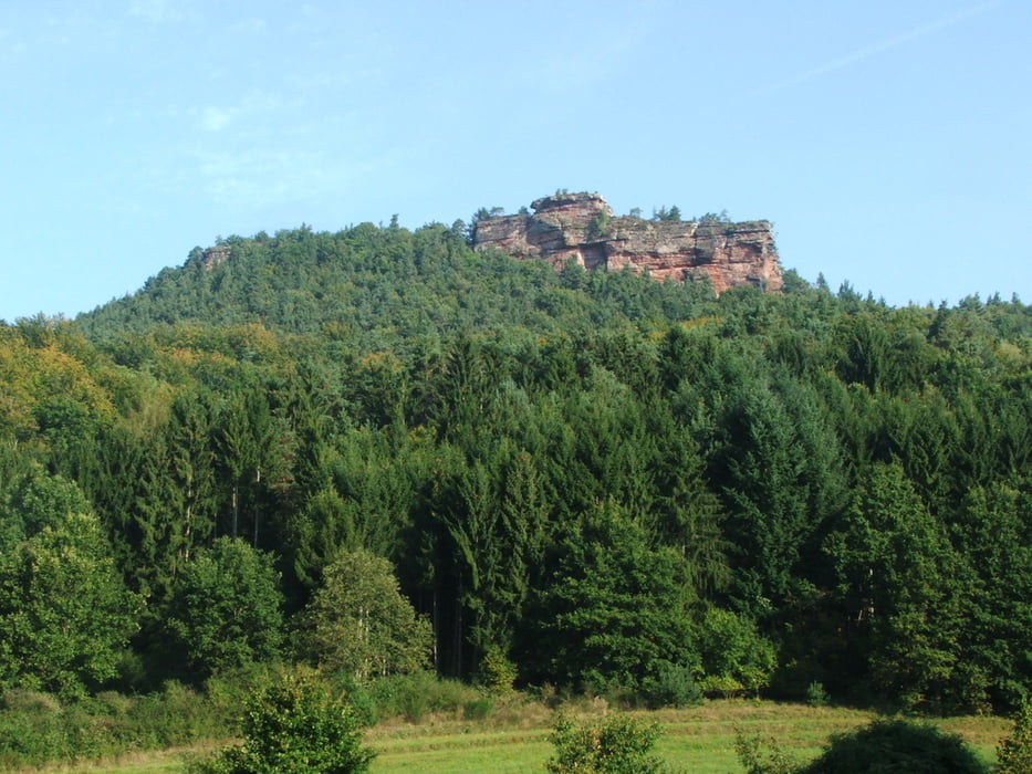 Pfälzerwald: Vorderweidenthal - Wilgartswiesen