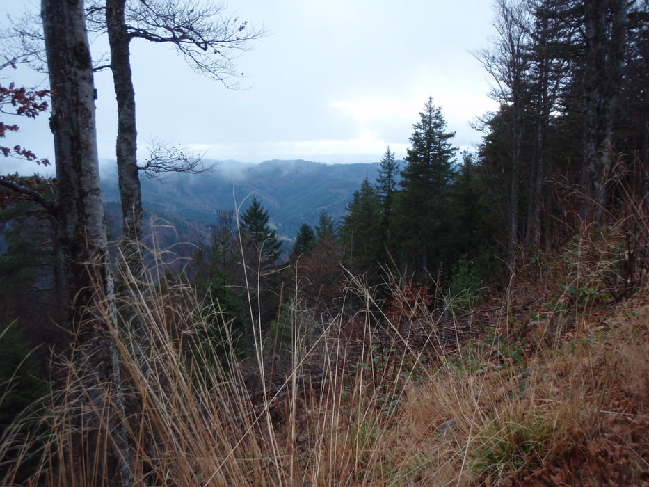 Belchen