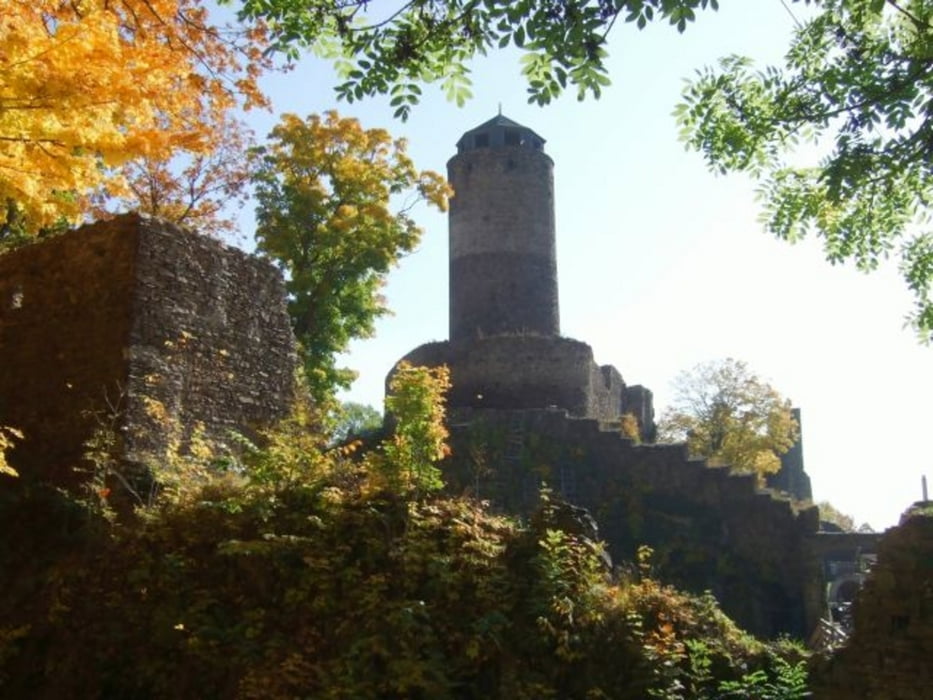 Hassenstein 2009
