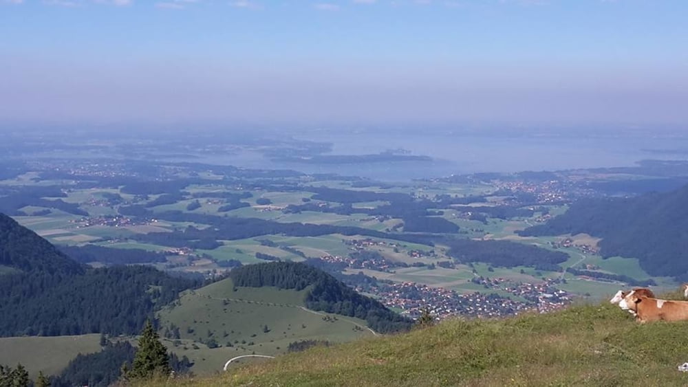 Von Frasdorf zum Laubenstein 1350m