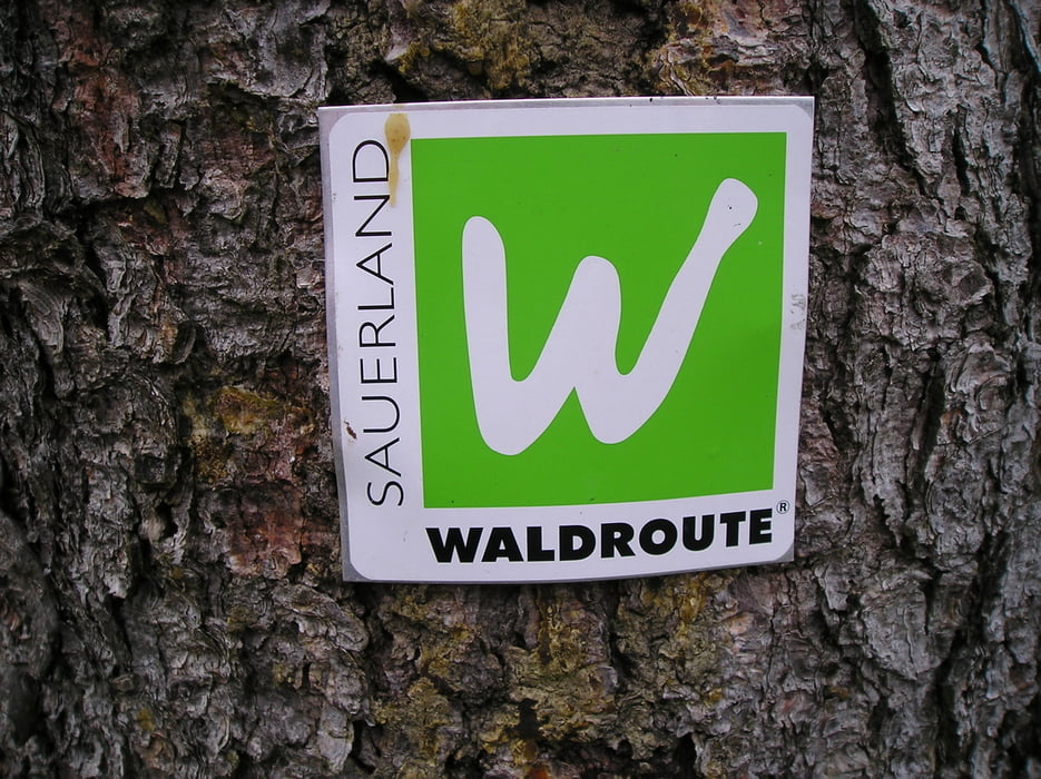 Rundwanderung Sorpesee