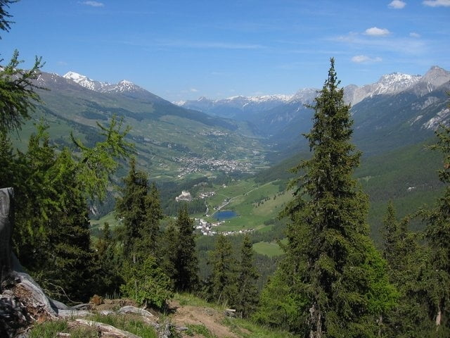 Rundweg über die Mottana bei Scuol / Vulpera / Tarasp