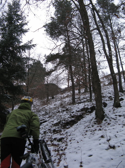 2008.11.29. Luhov 2-2008 