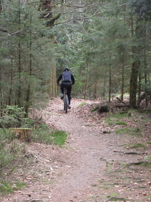 kleine Tour bei Waldkirchen / Bayerischer Wald