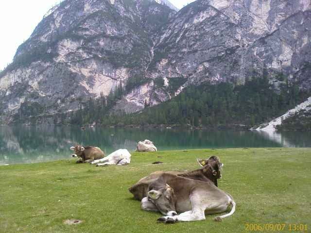 Pragser Wildsee