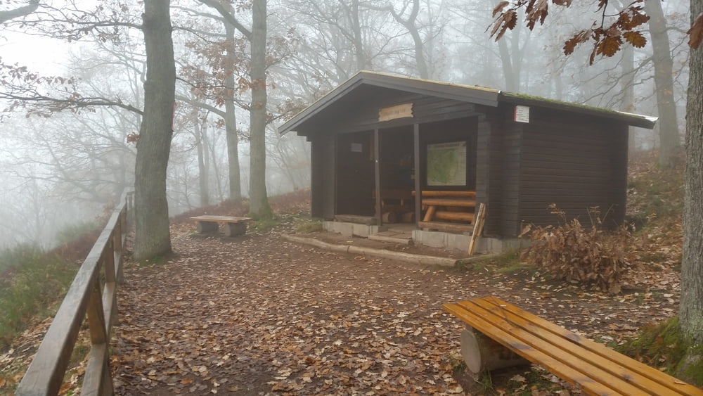 349. Ellrich - Harz mit Roter Schuss + 4 Stempelstellen ;-)) 
