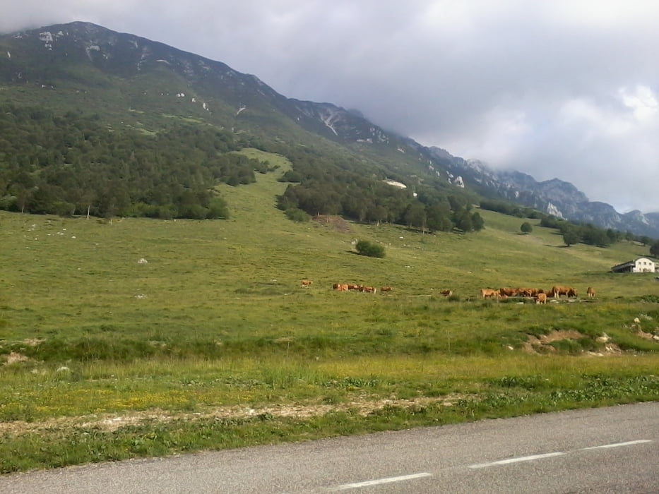 Trail sul Monte Baldo