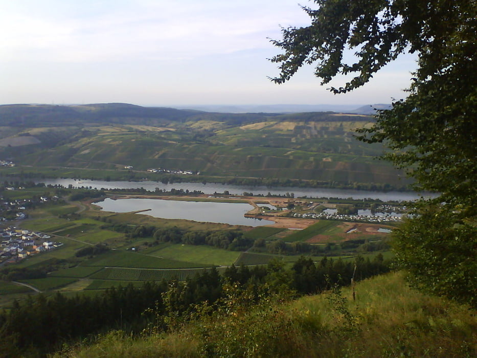 Mehring-Mosel-Bekond