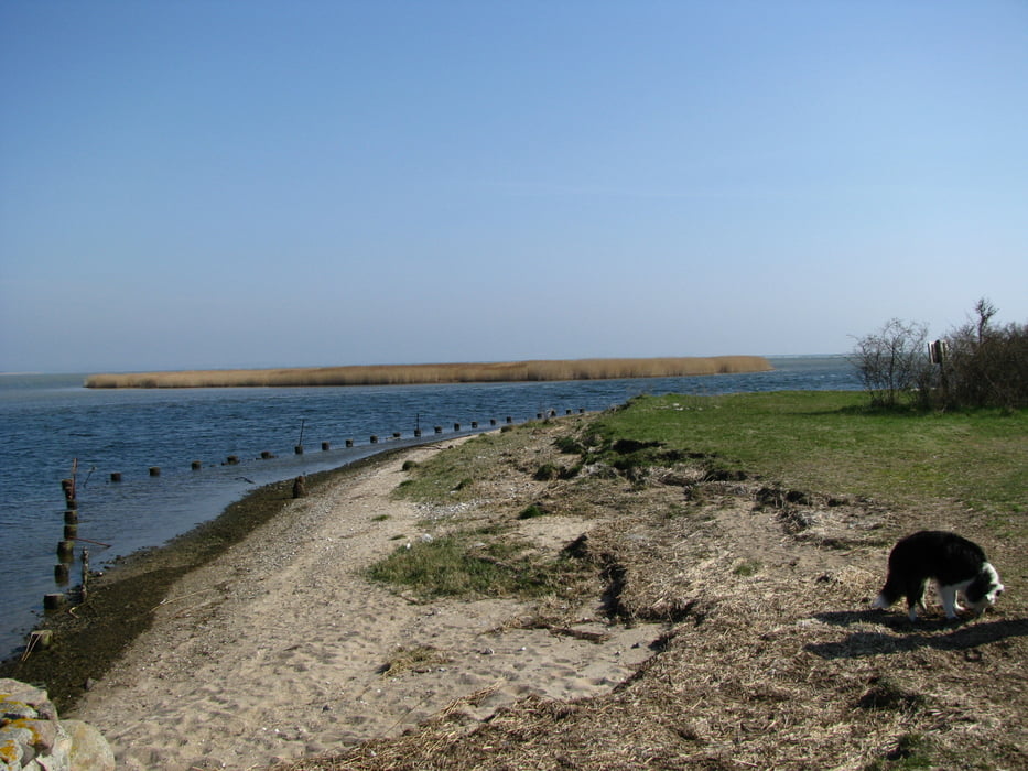 Auf der Halbinsel Zudar