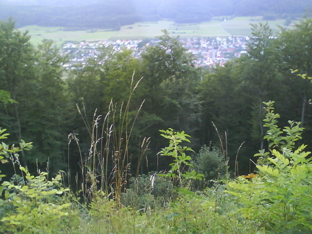 Hausrunde mit Trails