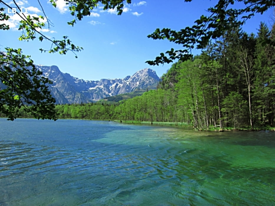 Almsee