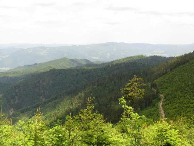 Szczawnica-Przehyba-Jaworki