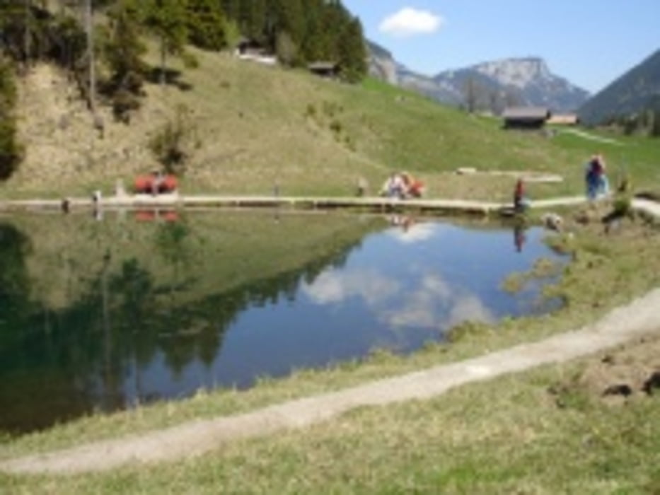 Oey Diemtingen - Grimmialp