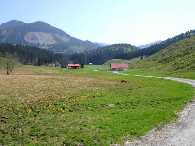 Von Nussdorf auf den Spitzstein