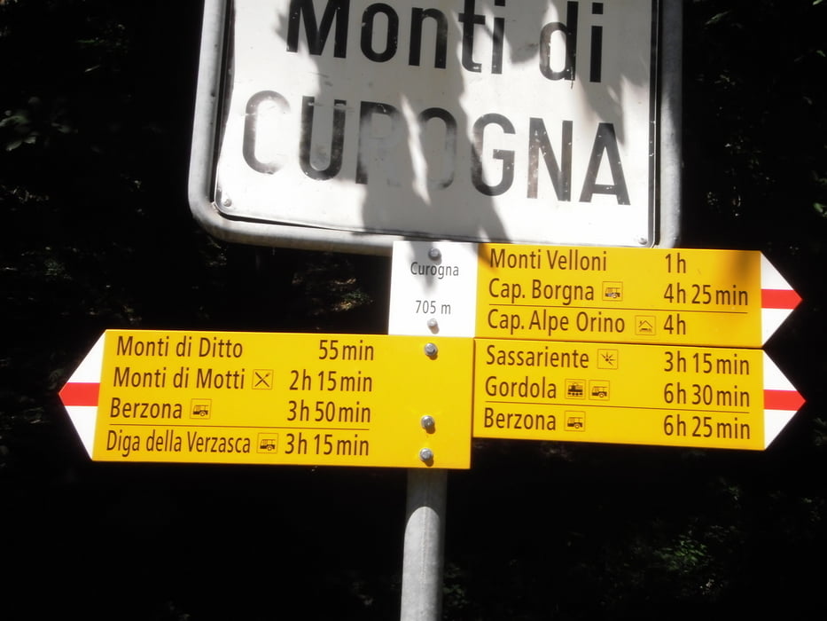 Monti Motti