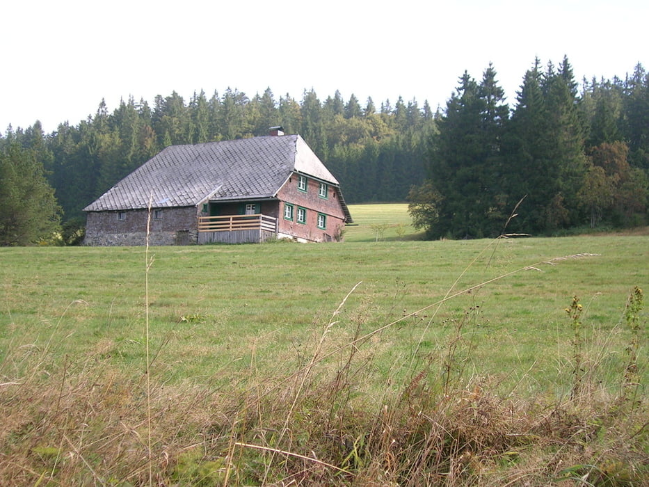 Altglashütten - Hinterzarten - Titisee - Altglashütten