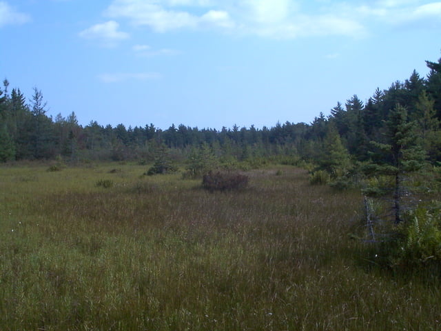 Kejimkujik Gold Trail