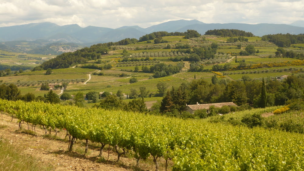 In den Norden von Vaison (Nyons, Col de Valouse, Valreas)