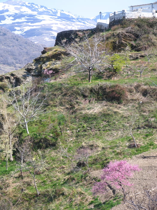 Andalusien - in den Alpujaras
