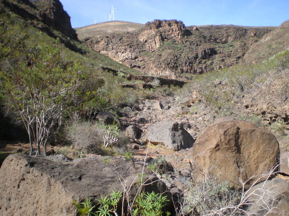 Guatiza - Barranco de Teneguime - Mala