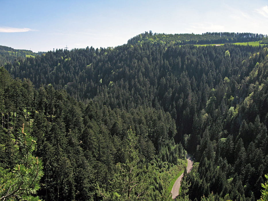 Ruine Berneck und Tischneck