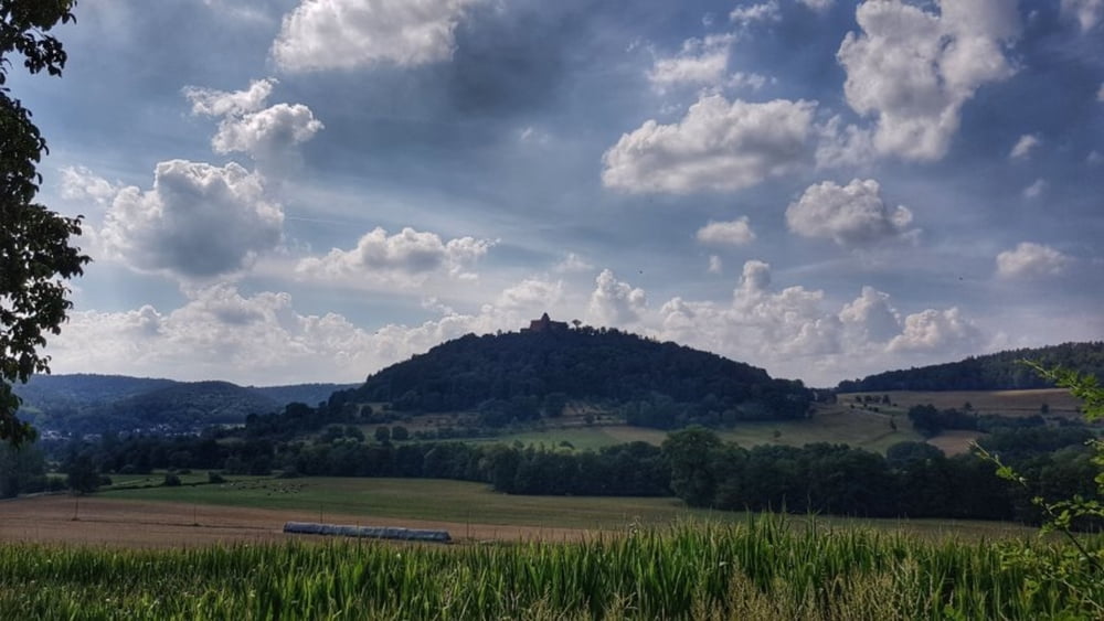Erste Tour dieses Jahr zur Waldesruh