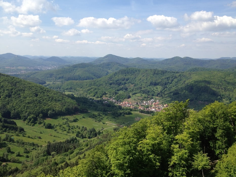 Pfalz Trails