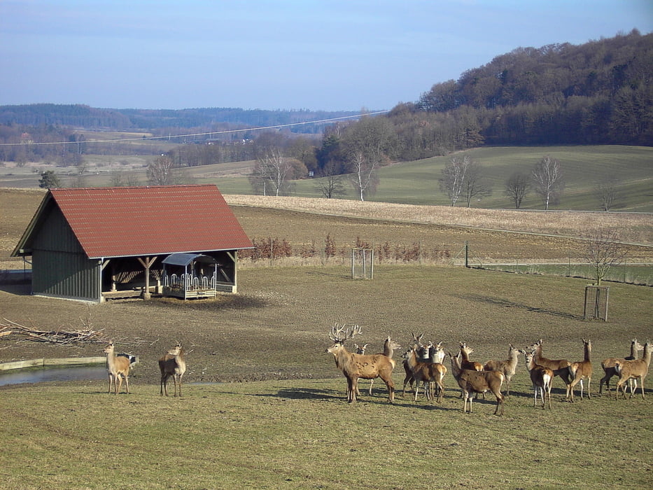 Zusmarshausen - Weisinger Forst
