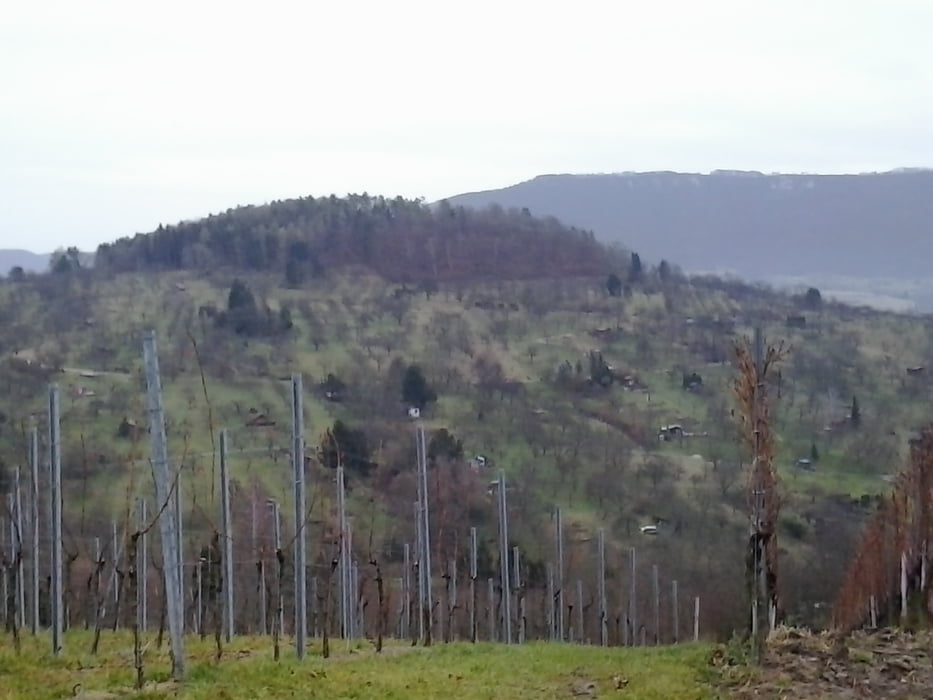 Rond om Metzingen im Wender