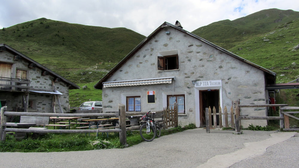 Alp Tea