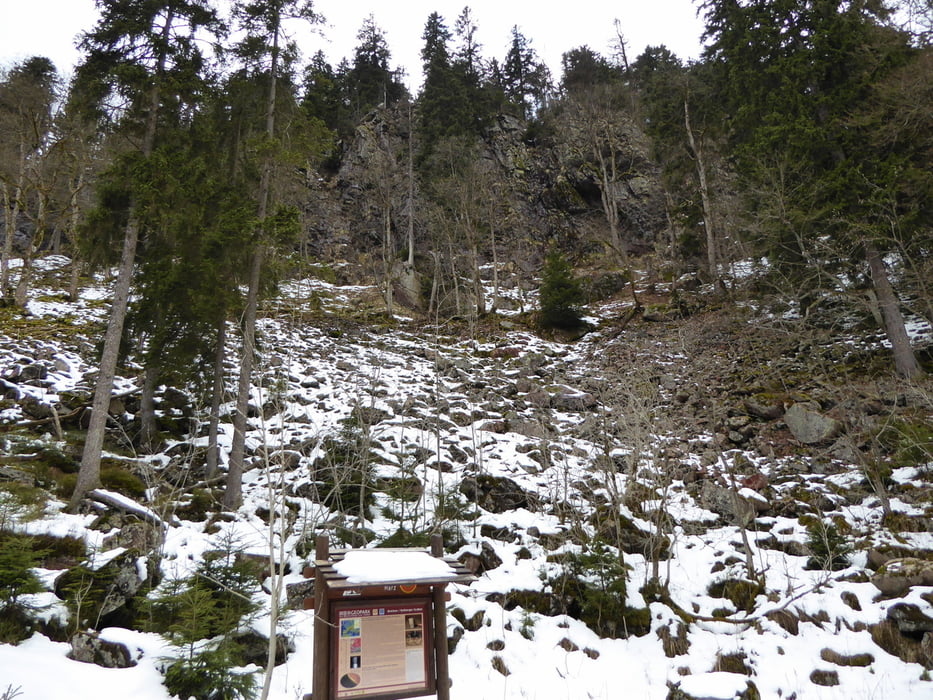 St. Andreasberg - Odertal - Bergwiesen