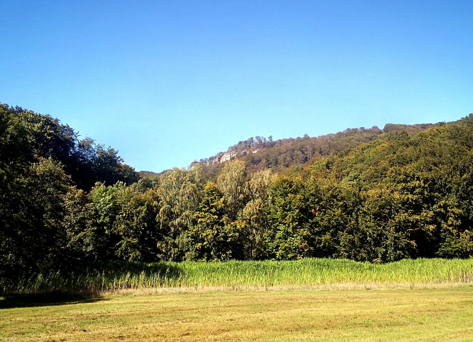 Süntel 3.1 XC AM medium Trails Südwehe Blutbachtal Langenfelder Wasserfall Kreuzsteinquelle Pappmühle Hohenstein DSMTBV MTB-Tour