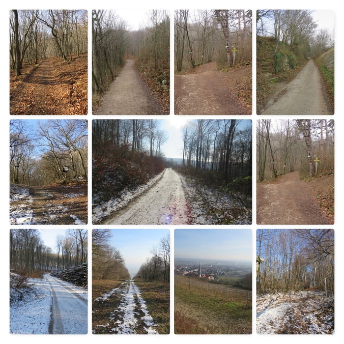 Gumpoldskirchen - Zwirnereck - Buchkogel - Lehnstuhl - Schweinkogel - Veiglhütte