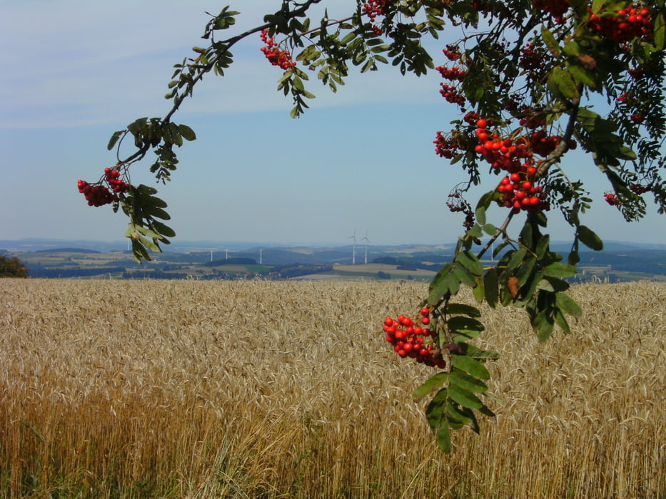 Goldkronach-Gefrees-Wülfersreuth
